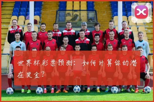 世界杯彩票预测：如何计算你的潜在奖金？