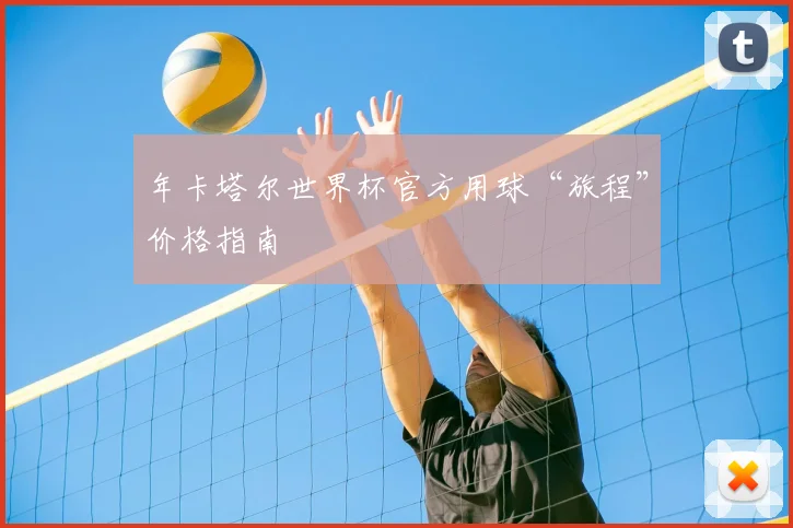 年卡塔尔世界杯官方用球“旅程”价格指南