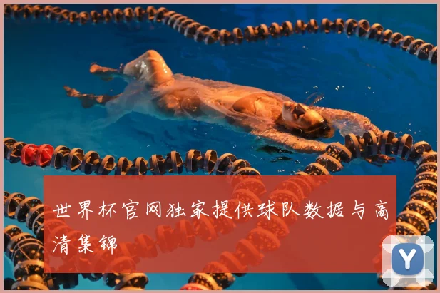 世界杯官网独家提供球队数据与高清集锦