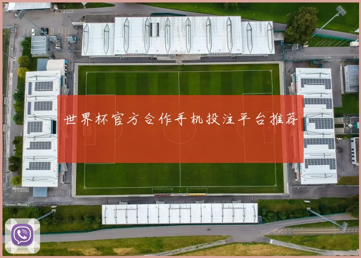世界杯官方合作手机投注平台推荐