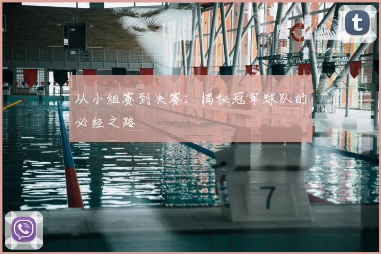 从小组赛到决赛：揭秘冠军球队的必经之路