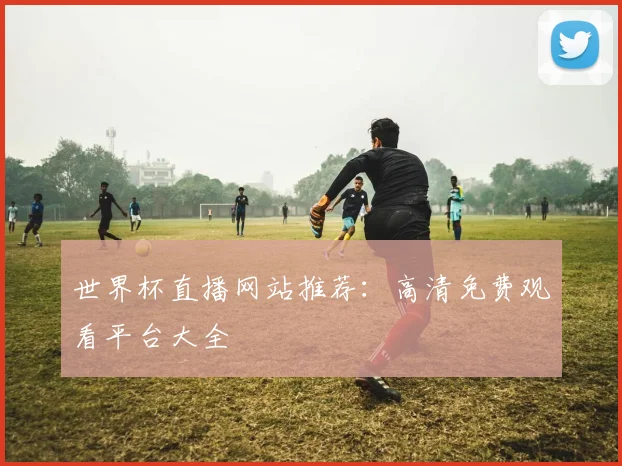 世界杯直播网站推荐：高清免费观看平台大全